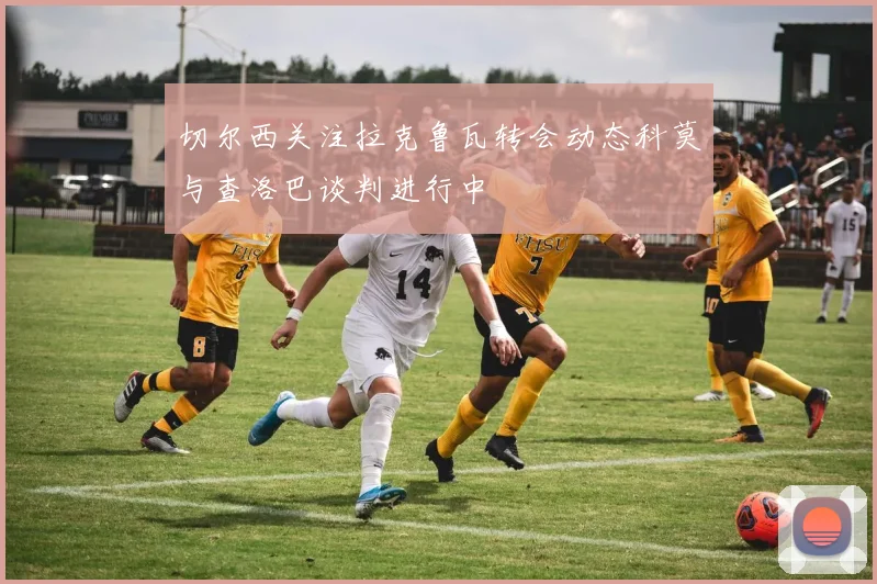 切尔西关注拉克鲁瓦转会动态科莫与查洛巴谈判进行中